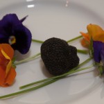 Black & White Truffles: The Culinary Lowdown