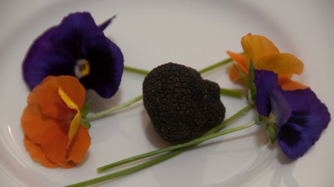 plated black Perigord truffle