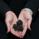 Truffles, Not Just Good for Our Tummies, but for the World!