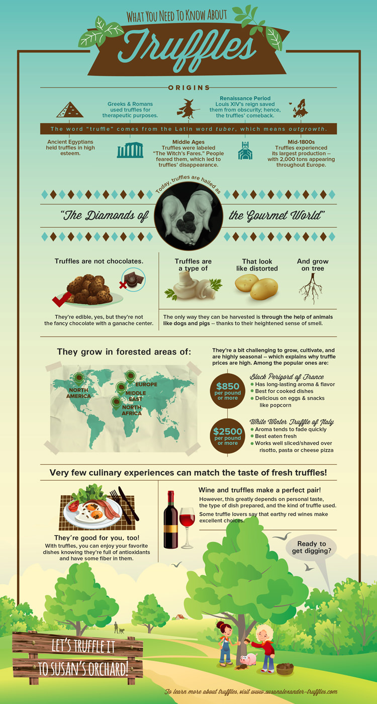 What is a Truffle?