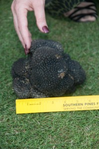 Susan Alexander, Measuring a Truffle