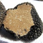 A Quick Shopper’s Guide to Truffle Types