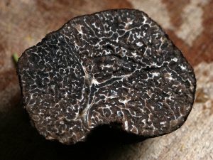 black-truffle
