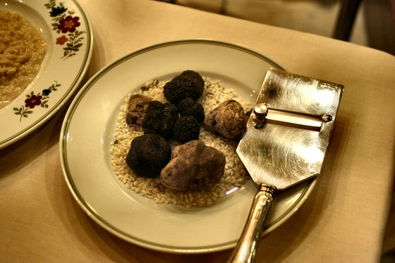 different kinds of truffles on plate